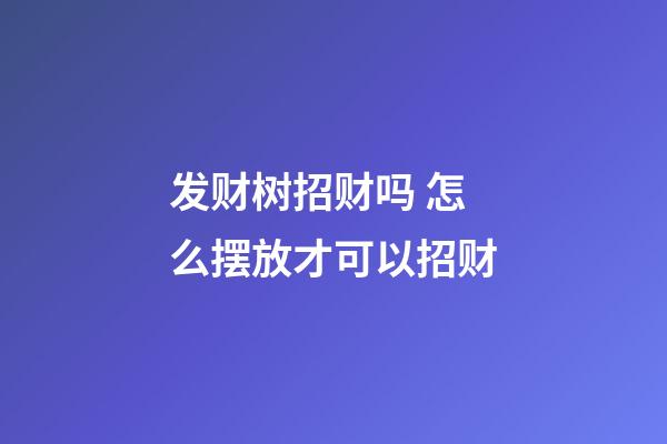 发财树招财吗 怎么摆放才可以招财
